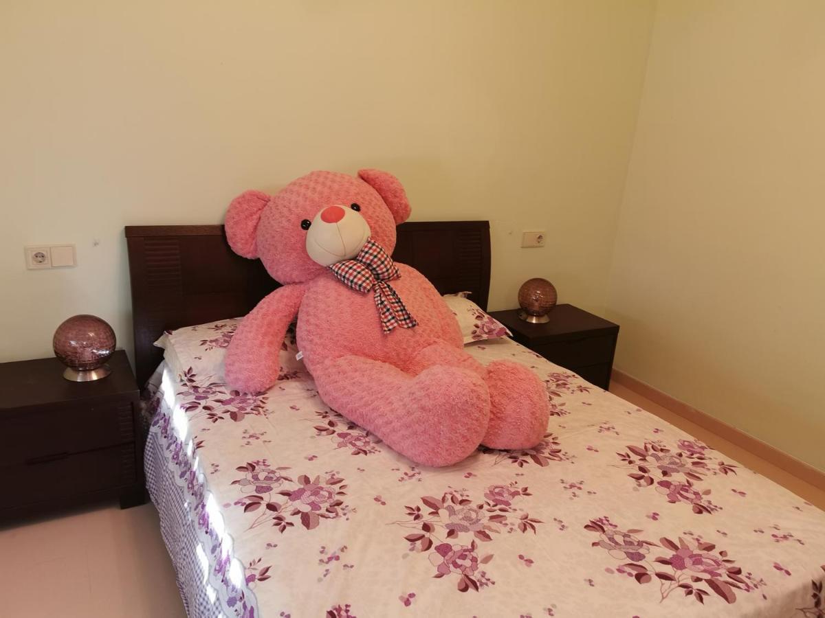 Gran Piso Villa Alicante Dış mekan fotoğraf